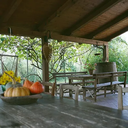 Pian Del Pigro * リミニ