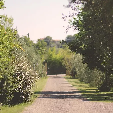 Pian Del Pigro Feriegård Rimini