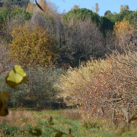 Pian Del Pigro Gospodarstwo agroturystyczne