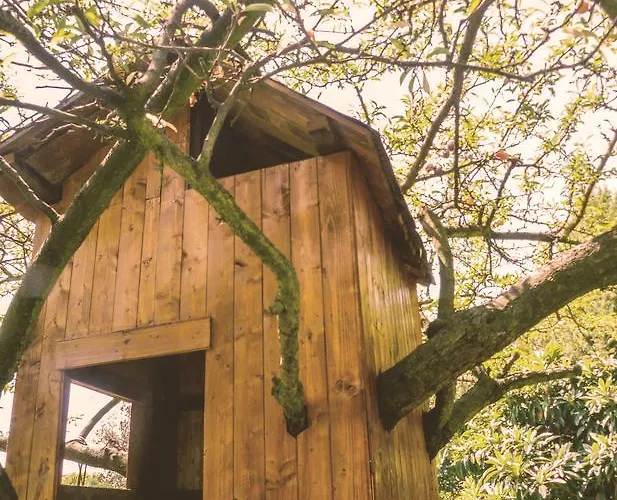 Pian Del Pigro * Rimini