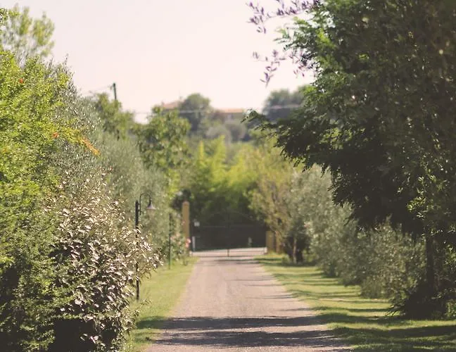 Pian Del Pigro Lantgård Rimini