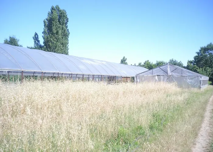 Pian Del Pigro * רימיני