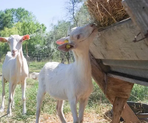 בית חווה Pian Del Pigro *