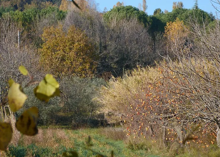 Pian Del Pigro בית חווה