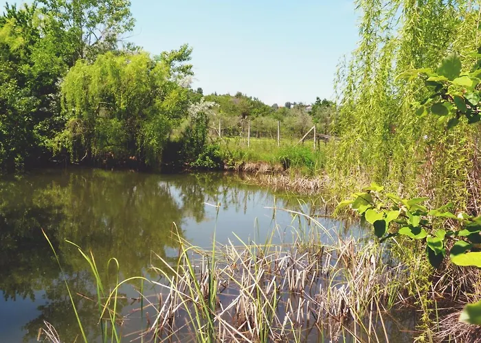 مزرعة للإقامة Pian Del Pigro *