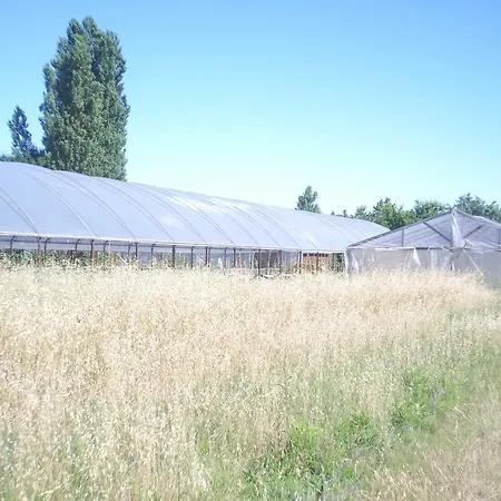 Pian Del Pigro * Rimini