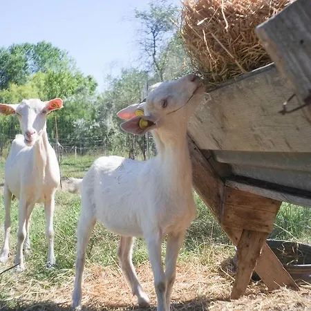 Alojamento de Turismo Rural Pian Del Pigro *
